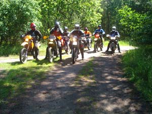 McPomm Training